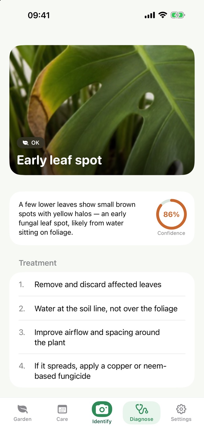 Diagnosis screen identifying early leaf spot with a step-by-step treatment plan